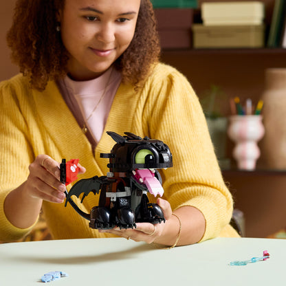 10375 How to Train Your Dragon: Toothless