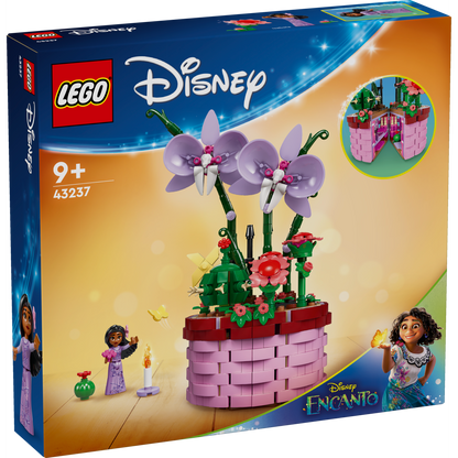 43237 Isabela's Flowerpot