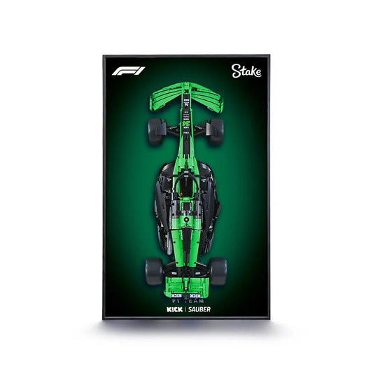 dia_frame_KICK SAUBER C44_MPI01